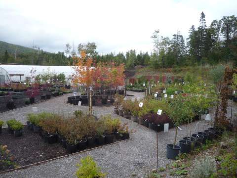 The Greenhouse and Garden Store